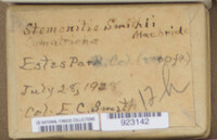 Image Associated With the Occurence